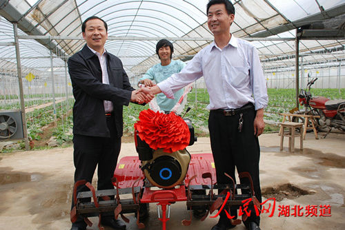 湖北省鄉村振興局黨組成員、副局長楊遙來我公司基地調研指導工作