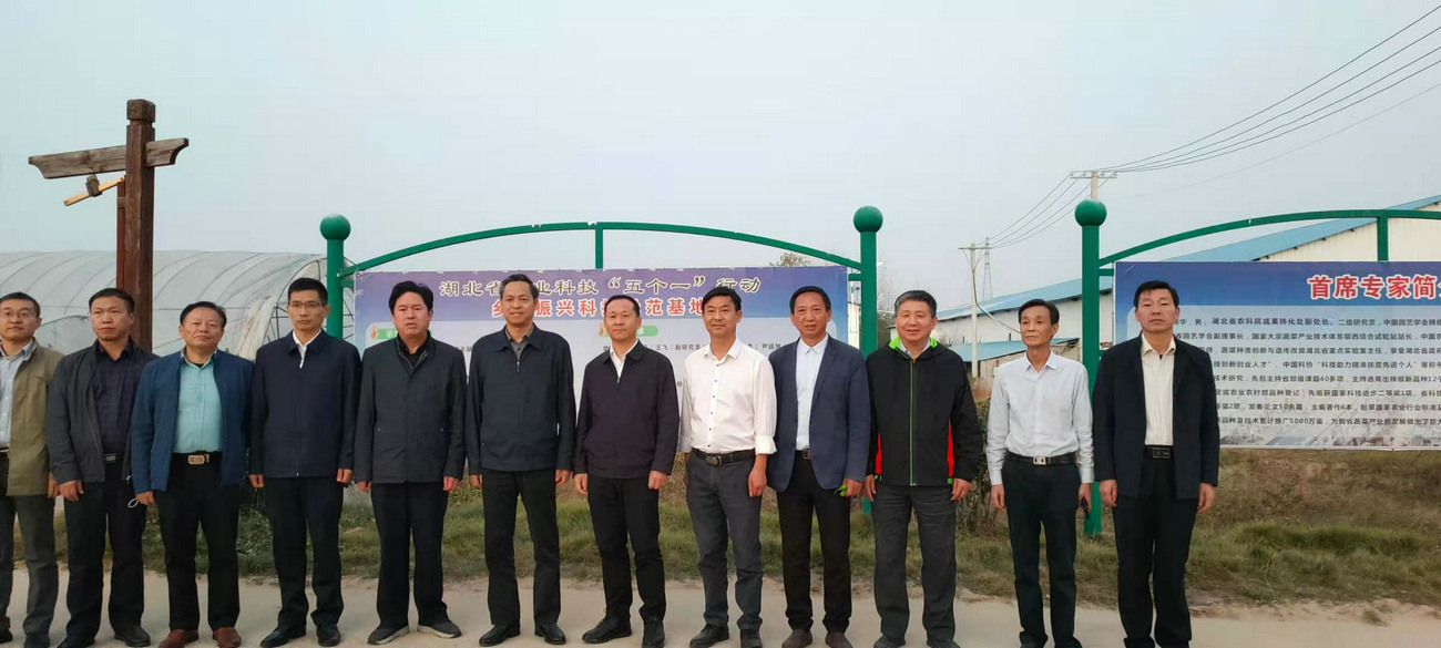 湖北省農業農村廳黨組成員、省農業科學院黨委書記劉曉洪來我公司基地調研指導工作